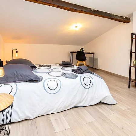 Appartement Equipe Au Centre De Béziers